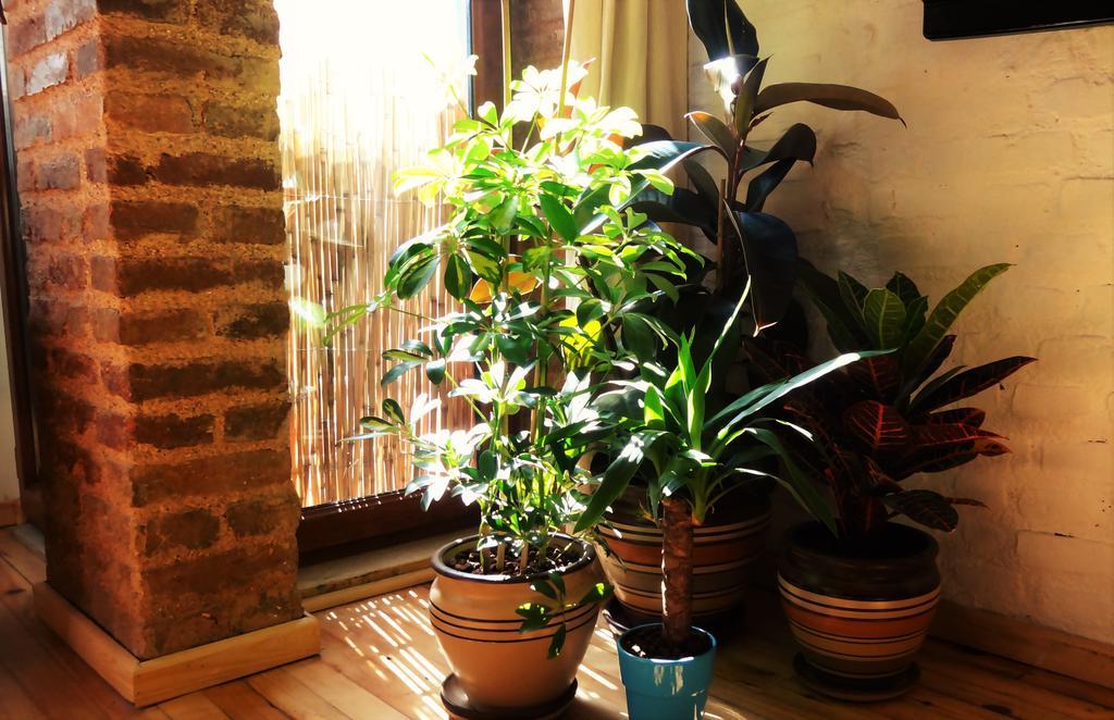 Kunterbunt Istanbul Apartamento Exterior foto